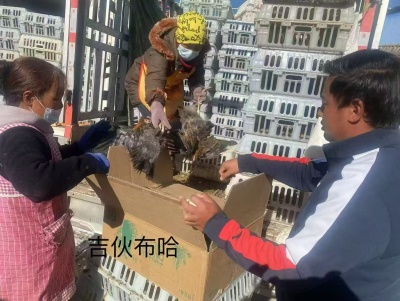 情暖小凉山 ——云南省委政法委驻宁蒗县工作队开展“春节送温暖”活动侧记