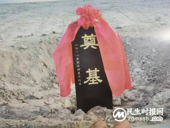 豫东赵氏的宗祠梦