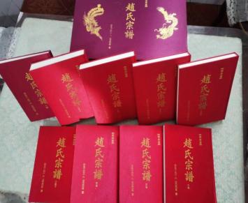 豫东赵氏的宗祠梦