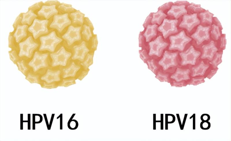 新时代好男人标配！湘潭县妇幼保健院迎来县内首位男性hpv疫苗“护花使者”