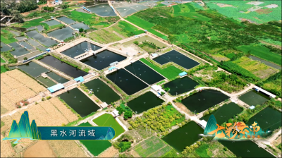 政民共绣生态锦 愚公智启绿富梦——从泥海诅咒到金山银山的云南密码