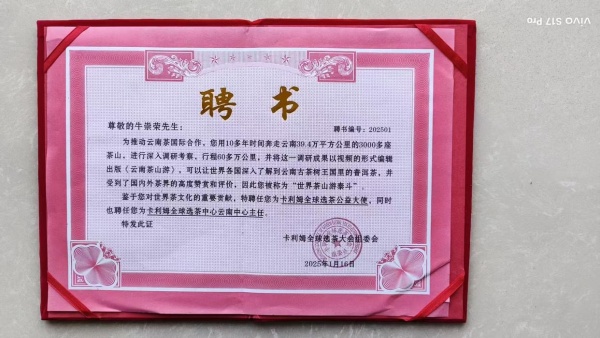 十年磨一剑 热烈祝贺云南茶山游重磅发布