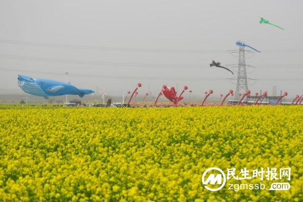 河北沙河市2024年红薯岭“油菜花赏花季”活动正式启动