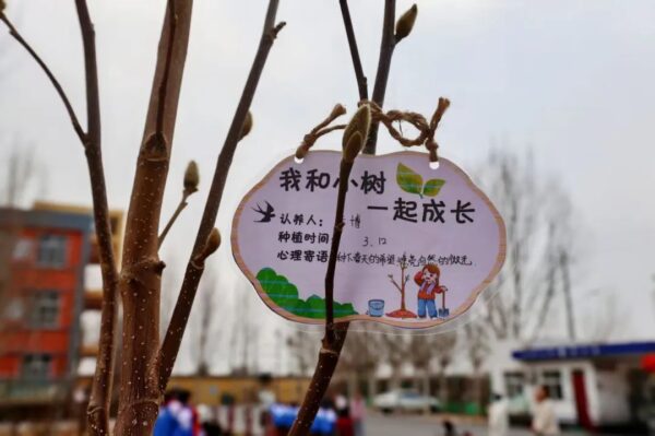 亮点!植树护绿,剪纸传情~肥乡这场校园活动超有料!