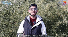 外国友人推介邯郸成语故事，真的“好city”……