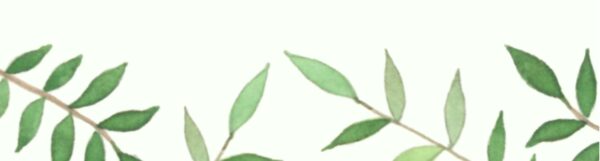 亮点！植树护绿，剪纸传情～肥乡这场校园活动超有料！