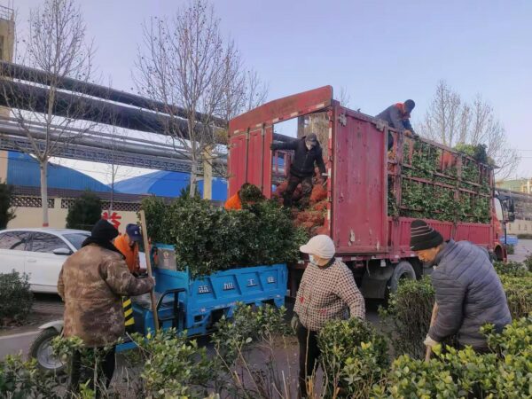 河北磁县：“颜值”刷新 路域环境焕新升级