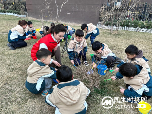 邯郸丛台区光明桥街道：春暖花开 “植”得期待