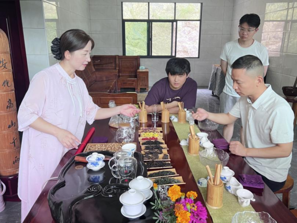 湖南中医药大学师生团队 探索茶产业绿色发展新路径