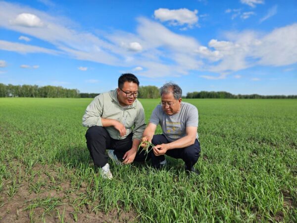 海外示范园“种”出中国中亚农业合作新未来