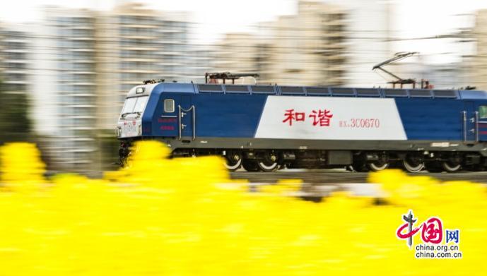 银发旅游列车，载一程春光赴万里幸福