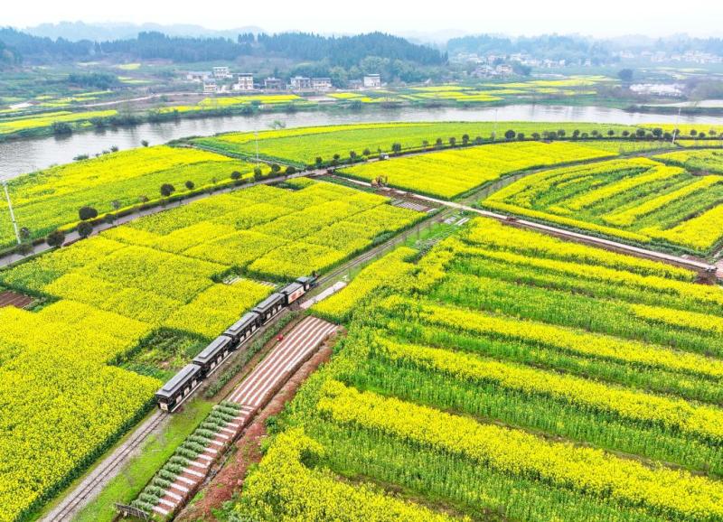 美丽中国丨重庆潼南：以花为媒 促农文旅融合发展