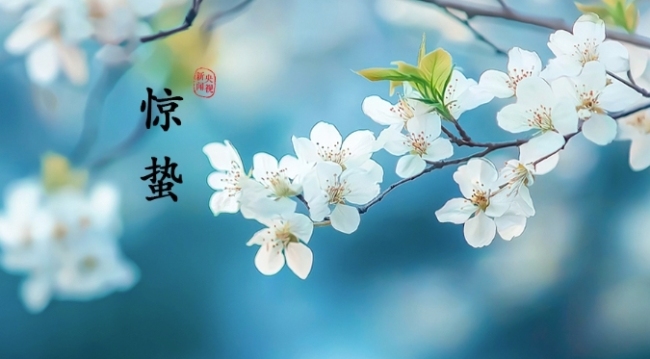惊蛰：春雷来信，花开有期
