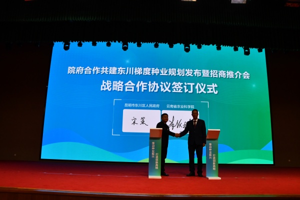院府共建合作东川梯度种业发布暨招商推介会在昆成功举办