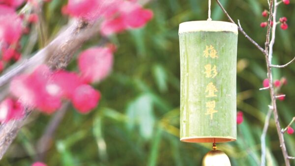 磁州水墨园： 梅花吐蕊 幽香满园
