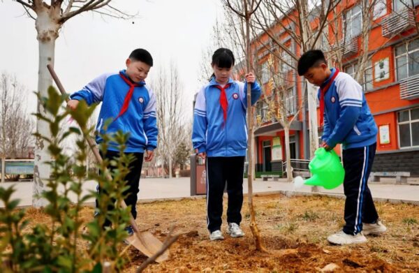 亮点!植树护绿,剪纸传情~肥乡这场校园活动超有料!