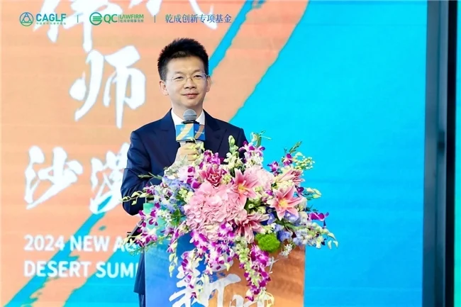 法律与黄沙的邂逅：新时代律师智慧的绽放