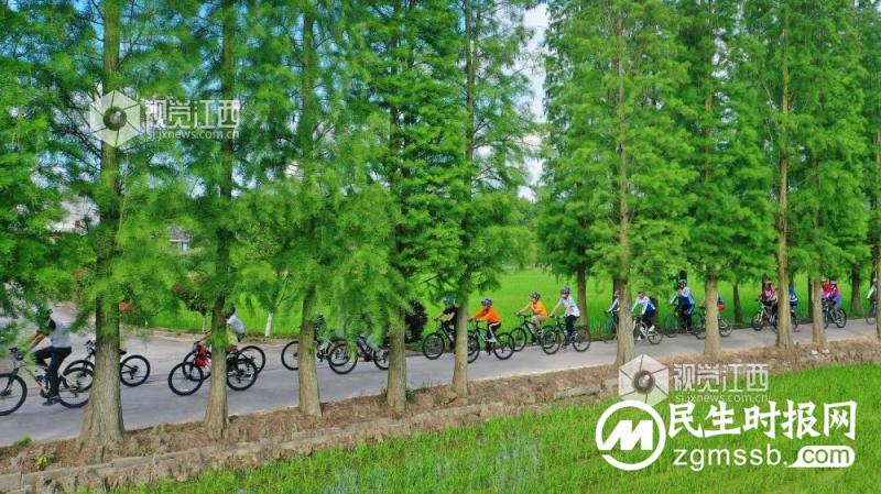 乡村振兴在“路”上 乡村振兴在“路”上