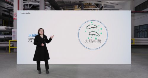 软装行业产品交锋，雅琪诺立面软装打开除醛抗菌新赛道！