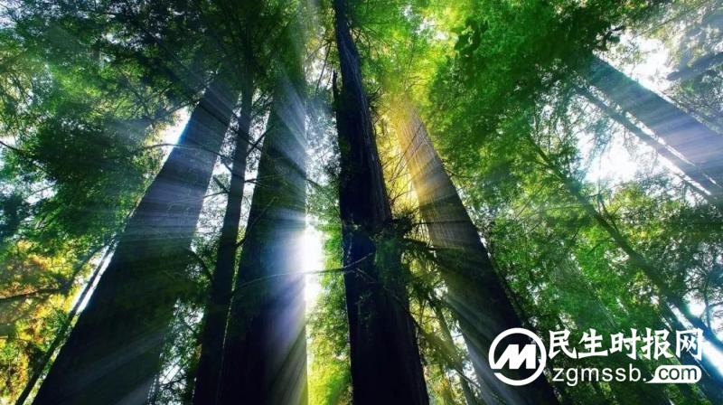 【司法护航绿水青山】今天是世界环境日!湘潭县法院发布一起环境资源刑事附带民事公益诉讼案例 【司法护航绿水青山】今天是世界环境日!湘潭县法院发布一起环境资源刑事附带民事公益诉讼案例