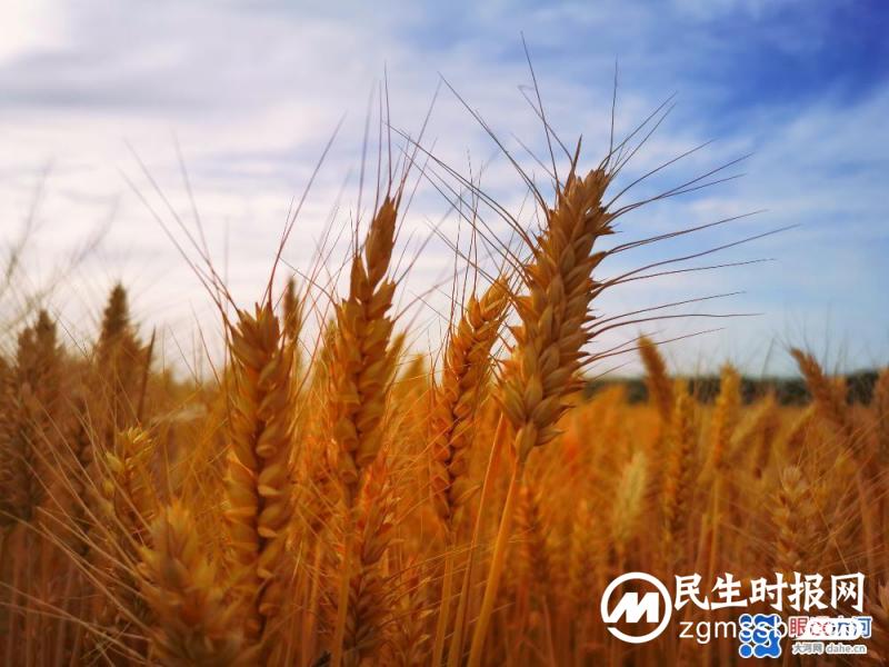 端午丰收，国富民安