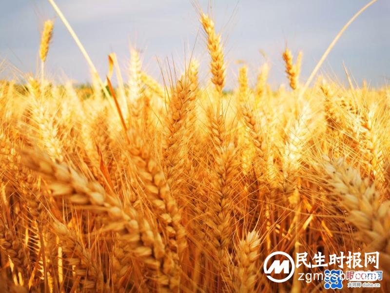 端午丰收，国富民安