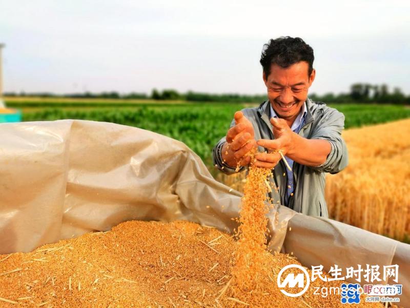 端午丰收，国富民安