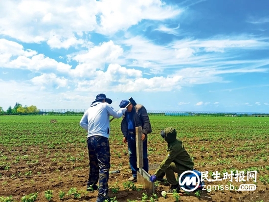黑土地告急!事关14亿人的饭碗 黑土地告急!事关14亿人的饭碗