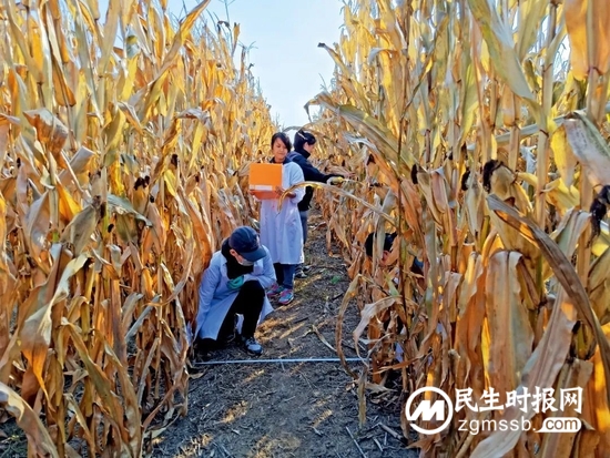 黑土地告急!事关14亿人的饭碗 黑土地告急!事关14亿人的饭碗