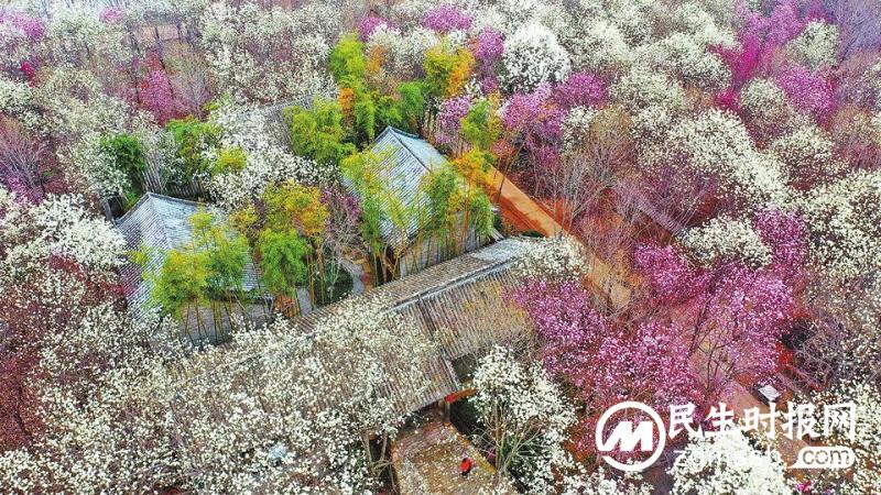 花海泛波春意浓