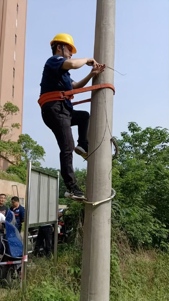 技能提升 快速响应 技能提升 快速响应