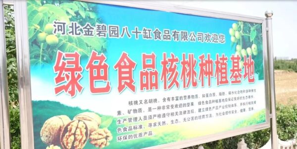 企业家风采   苗树奎：发展特色种植，“核”力拓宽致富路
