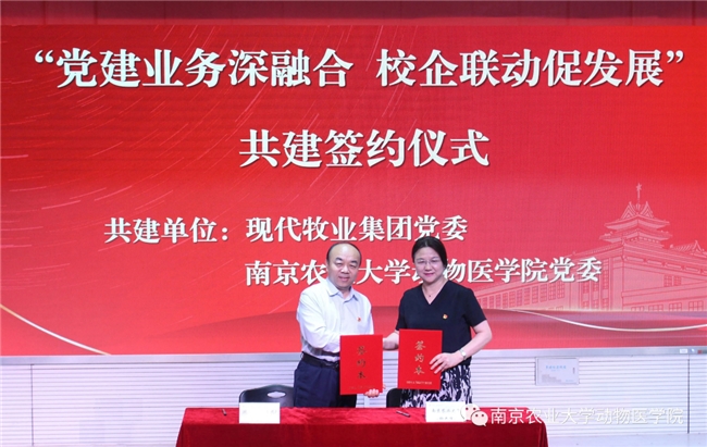 党建引领，护航现代牧业高质量发展