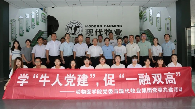 党建引领，护航现代牧业高质量发展