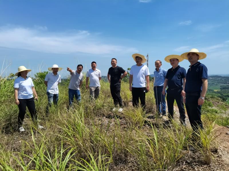 湘潭市资规局赴县市区指导推进矿业权出让工作 湘潭市资规局赴县市区指导推进矿业权出让工作