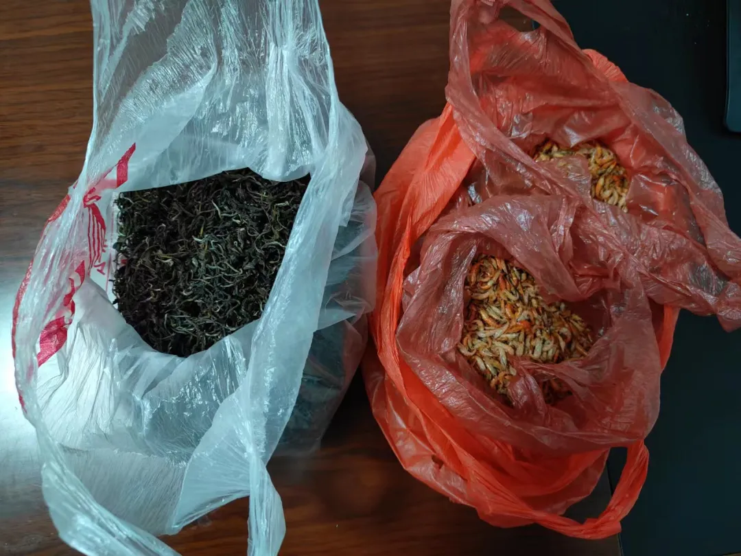民警捉贼追赃,受害人悄悄“送礼” 民警捉贼追赃,受害人悄悄“送礼”