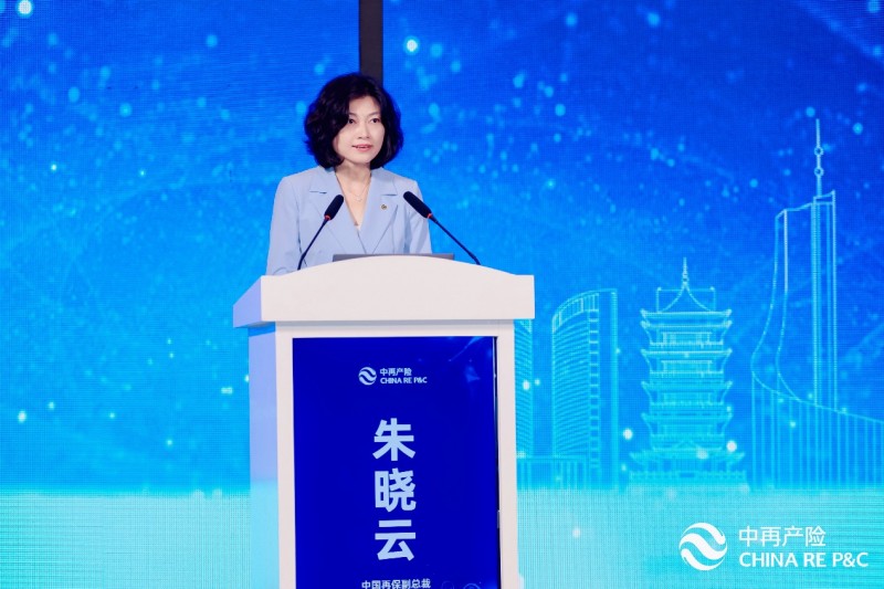 2024年中国财产再保险市场研讨会召开