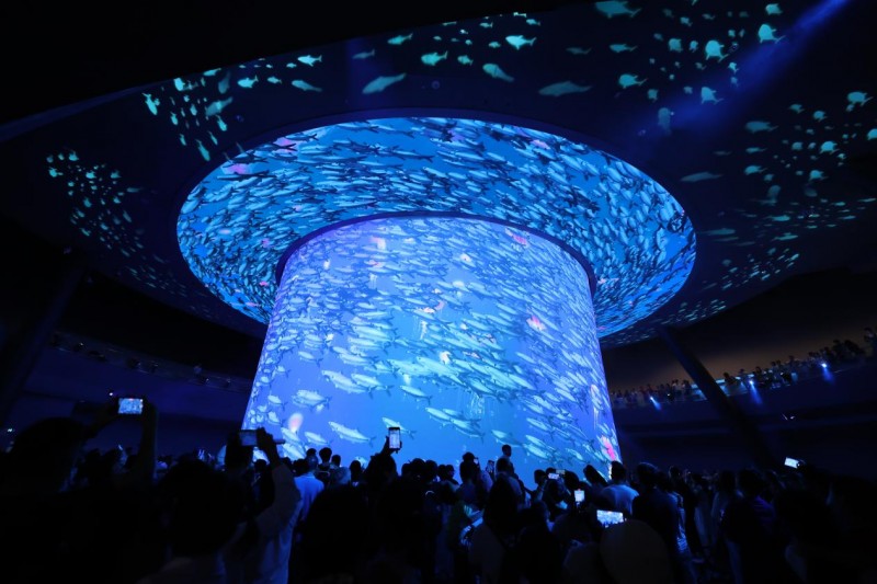 深圳小梅沙海洋世界国庆黄金周试营业，1.5万游客尝鲜
