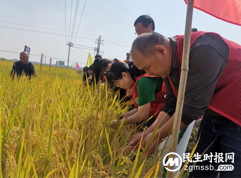 “湘潭县2023世界粮食日和全国粮食安全周”启动仪式在山塘小学举行 “湘潭县2023世界粮食日和全国粮食安全周”启动仪式在山塘小学举行