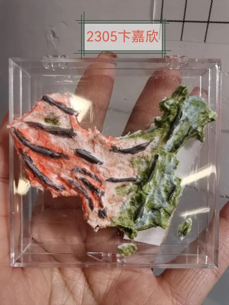 探索地理之美——中学地理模型制作活动圆满落幕 探索地理之美——中学地理模型制作活动圆满落幕