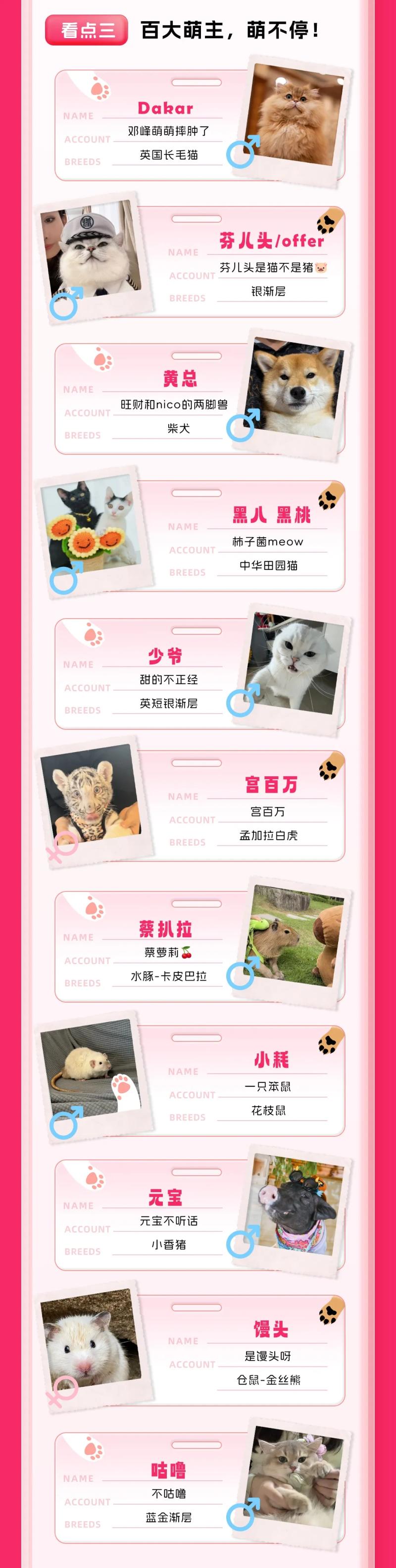 引领“萌”力经济！一图读懂抖音商城「亲子萌宠」品类日