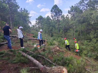 巧家县扎实推进森林防火应急道路项目建设