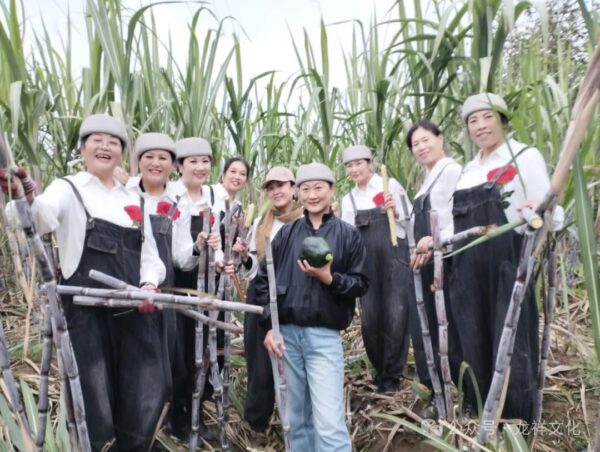 走出新思路  助力乡村振兴