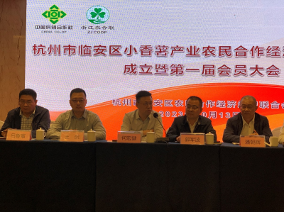 平安产险杭州中支党总支：党建引领添合力 用心为民办实事 ——党建互联共建 线上直播助农