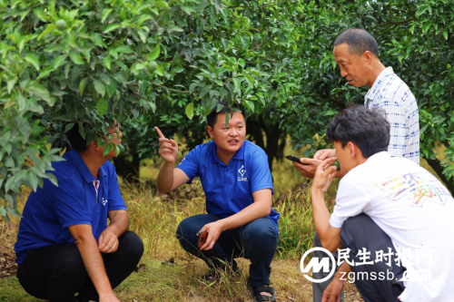 科技赋能产业兴，云天化助力三农好“丰”景