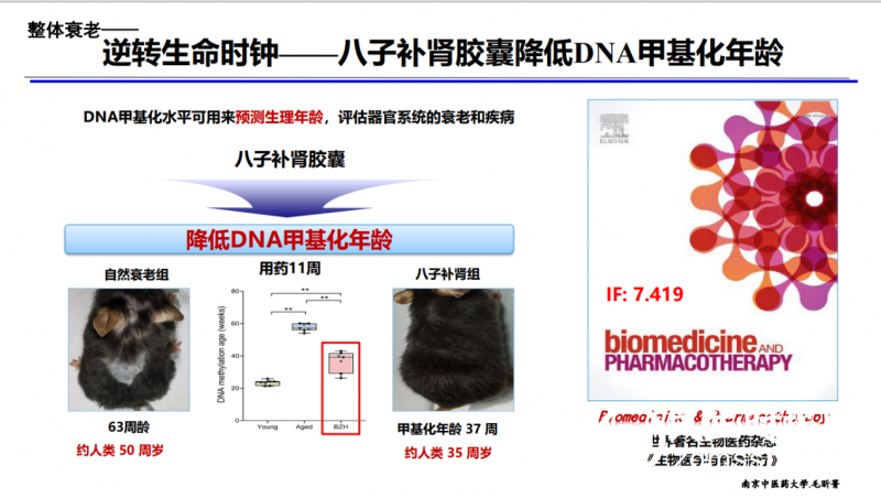 现代人迎来“倍速衰老”？别慌，改变“dna甲基化”可延缓衰老！