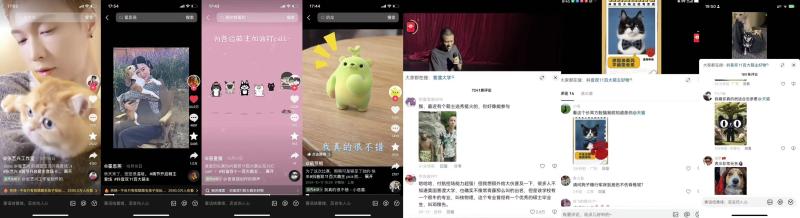抖音电商百大萌主活动收官！内容驱动流量增长，解锁宠物营销新思路