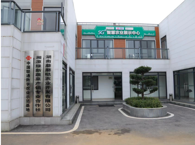 湘潭联通 深耕智慧农业 智慧菇房上演增收新故事 湘潭联通 深耕智慧农业 智慧菇房上演增收新故事