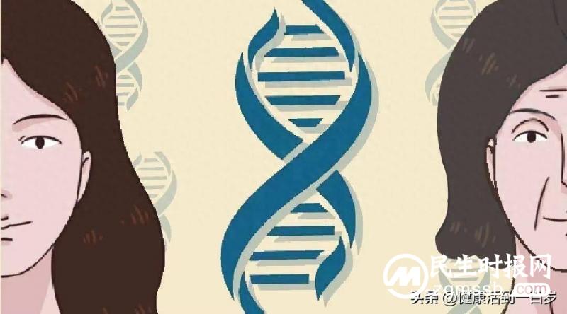 人的一生有3个衰老加速期，八子补肾帮你留住年轻态