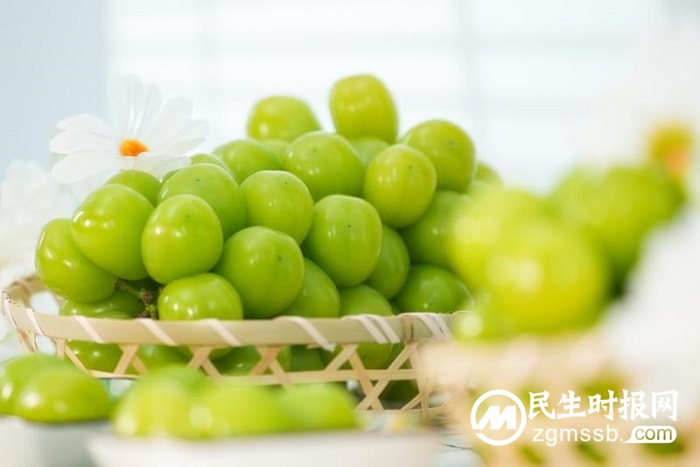 熊猫指南2022年度中国优质农产品榜单发布 打造中国品质农业“米其林指南”